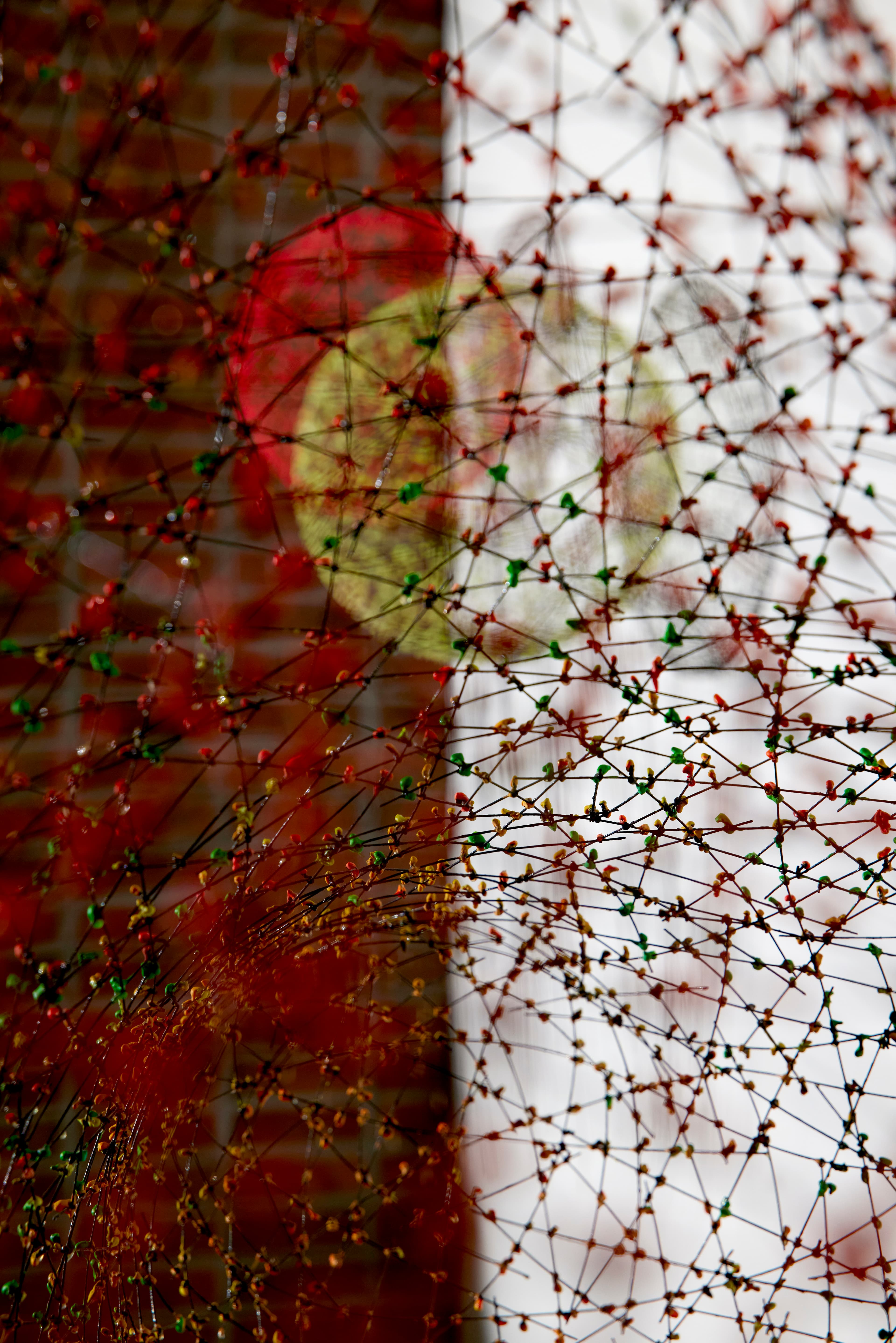 Lee SungKuen 이성근