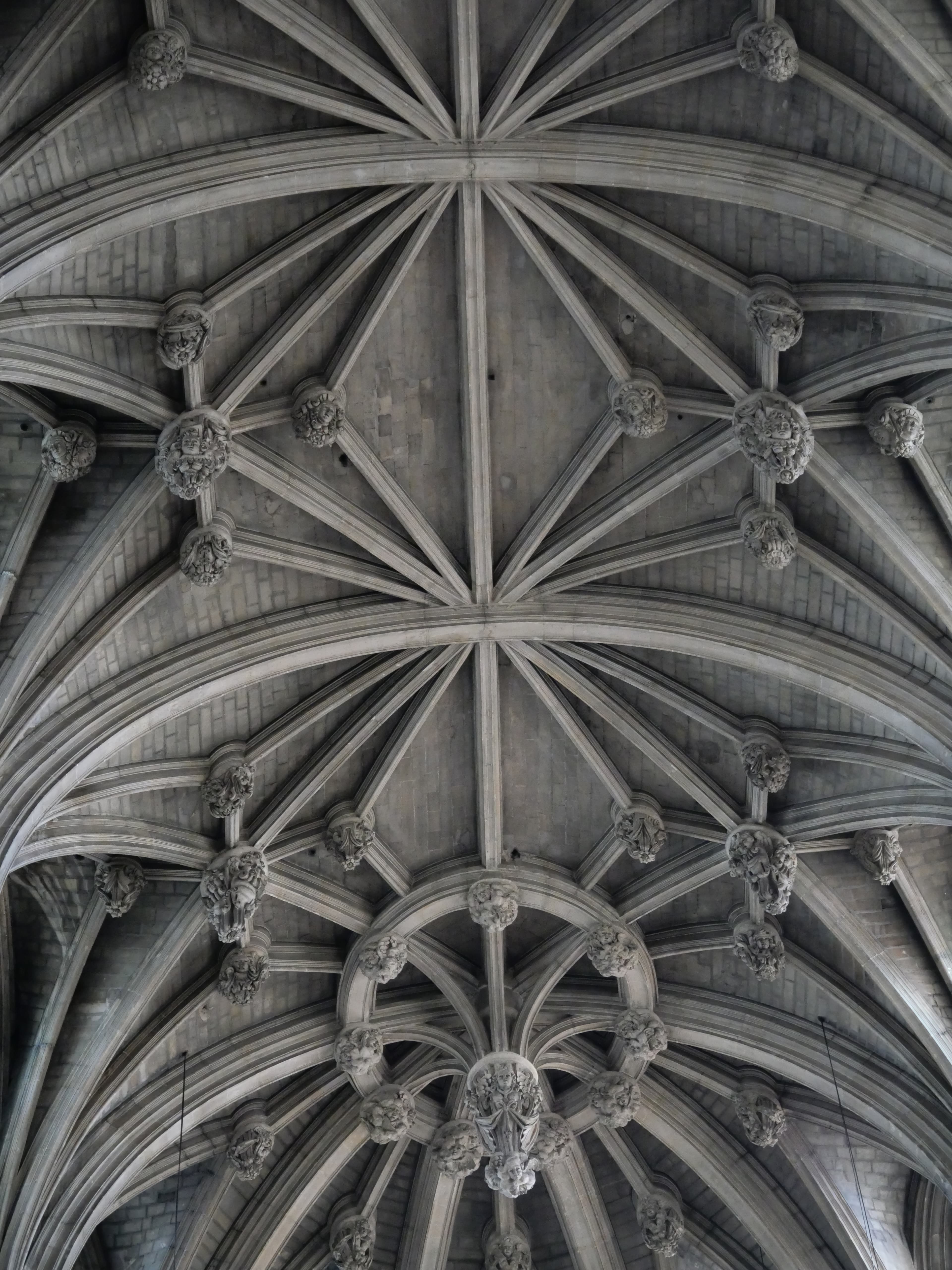 Xavier Salmon 자비에르, Xavier Salmon 자비에르-7