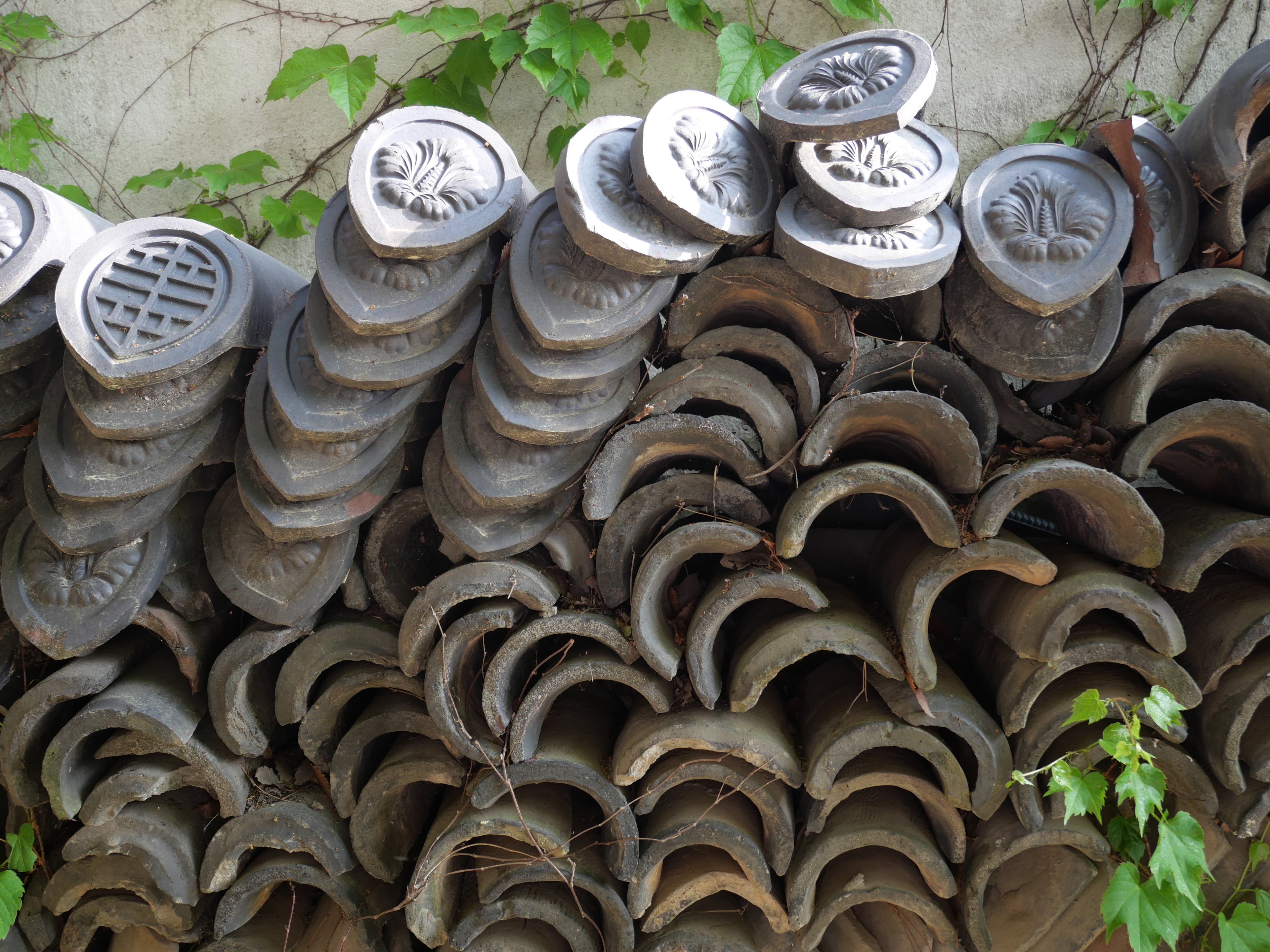 Xavier Salmon 자비에르, Xavier Salmon 자비에르-1