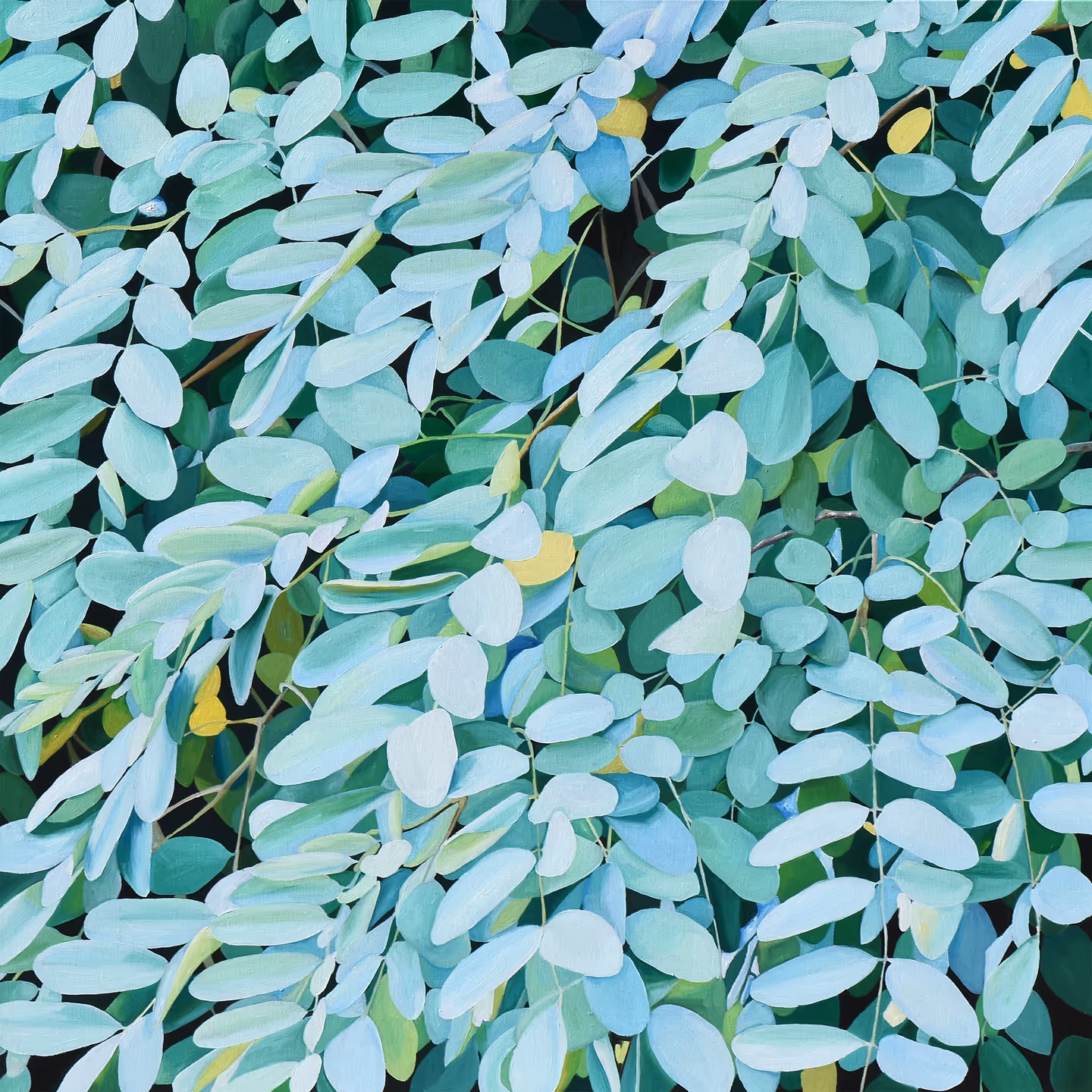 김재현, 아카시아 37, oil on canvas, 65.1 x 65.1 cm. 240 만원